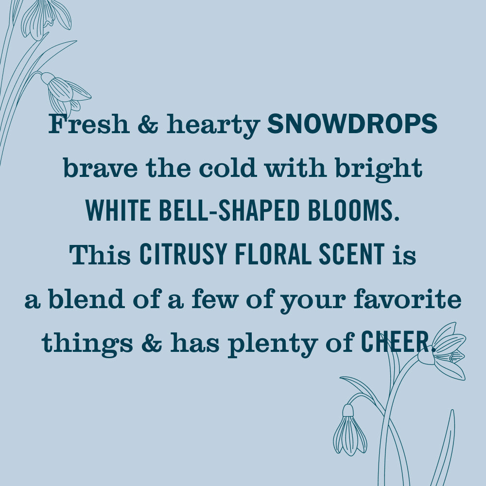 Snowdrop Essentials 5-Count Bundle