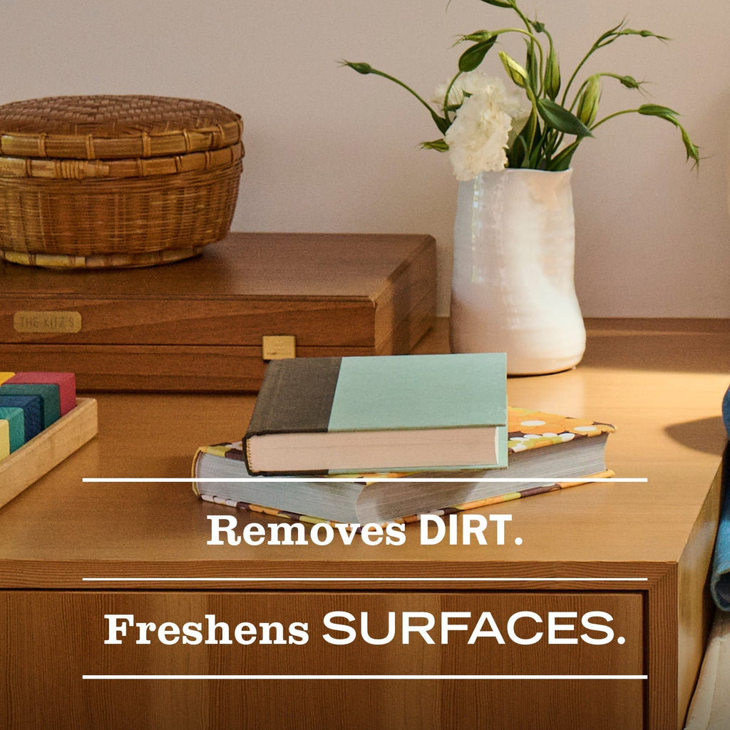 Gingerbread Multi-Surface Everyday Cleaner